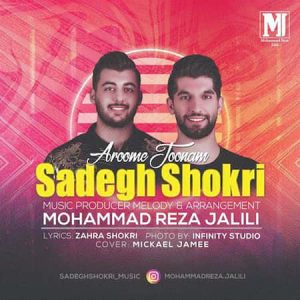 صادق شکری