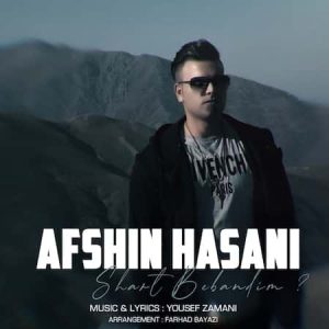 افشین حسنی