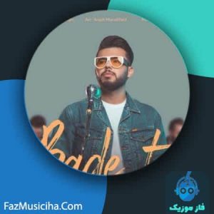 هادی همراهی