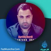 شاهرخ عابدی