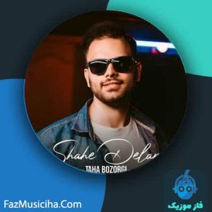 طاها بزرگی
