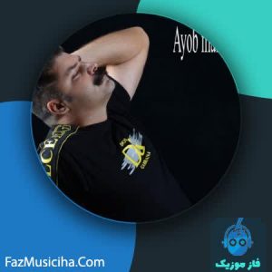 ایوب ملک زاده