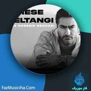 امیرحسین اصغری