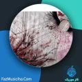 دانلود آهنگ آلبینو اسپیک دانلود آهنگ آلبینو اسپیک