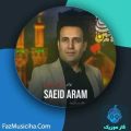 دانلود آهنگ سعید آرام نوای یا حسین دانلود آهنگ سعید آرام نوای یا حسین