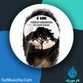 دانلود آهنگ پدرام حسین پور دوتایی دانلود آهنگ پدرام حسین پور دوتایی