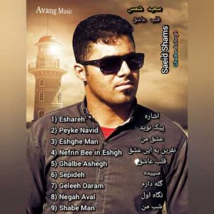دانلود آلبوم سعید شمس قلب عاشق