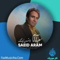 دانلود آهنگ سعید آرام روشن ترین نگاه دانلود آهنگ سعید آرام روشن ترین نگاه