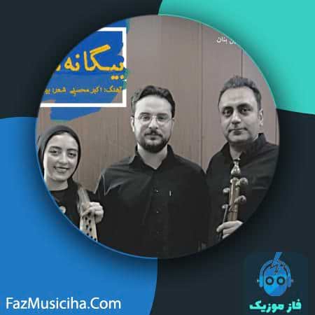 دانلود آهنگ یاسین حاتمی بیگانه نواز دانلود آهنگ یاسین حاتمی بیگانه نواز Yasin Hatami Biganeh Navaz