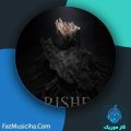 دانلود آهنگ دانیال شاکری ریشه دانلود آهنگ دانیال شاکری ریشه